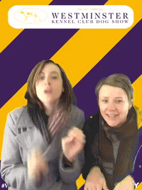 wkcdogshow GIF by Westminster Kennel Club