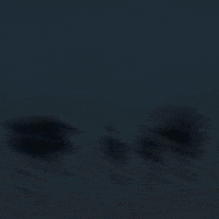 Rugby Chile GIF by Banco de  Chile