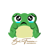 Sad Frog Sticker by Bel Ferreira Photography