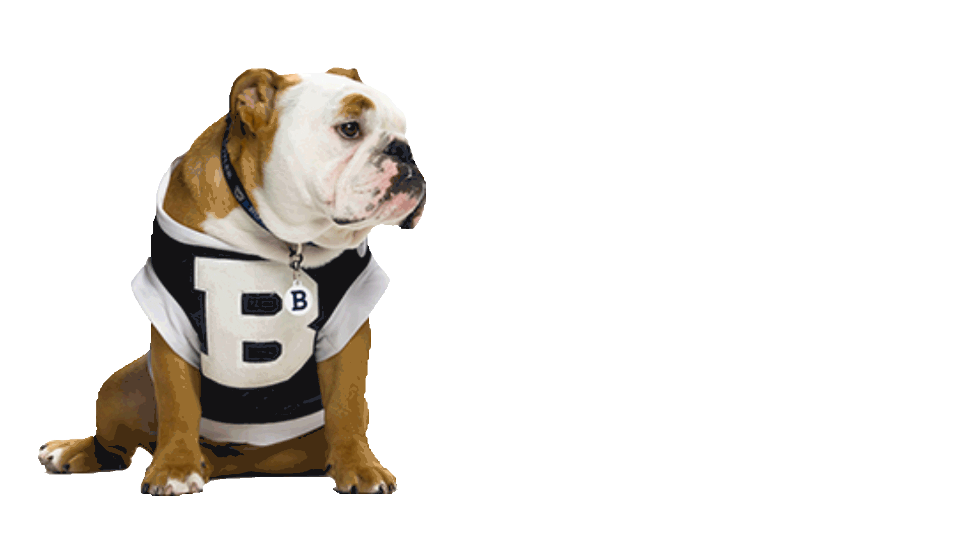 Happy Butler Bulldogs Sticker by Butler University