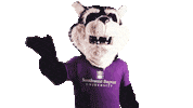 Wave Waving Sticker by Southwest Baptist University