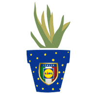 Plant Supermarket Sticker by Lidl Italia