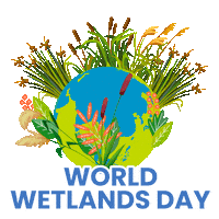 Wetlands Sticker by Dogwood Alliance
