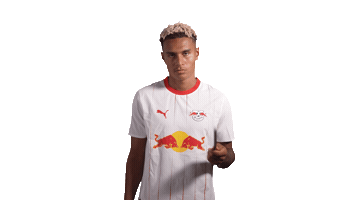 Red Bull Magic Sticker by RB Leipzig
