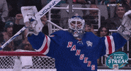 happy ice hockey GIF by NHL
