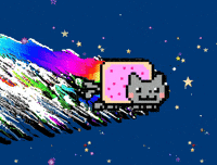 Rainbows Nyan Cat GIF by PERFECTL00P