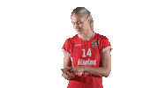 Sport Volleyball Sticker by LP Viesti