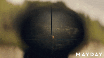 Film Festival Dance GIF by Magnolia Pictures