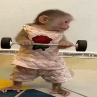 Czz GIF