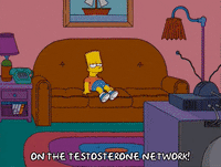 bart simpson GIF
