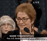 news impeachment impeachment inquiry impeachment hearings day two marie yovanovitch GIF