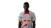 Football Sport Sticker by RB Leipzig