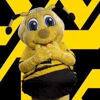 Soccer Futbol GIF by Borussia Dortmund