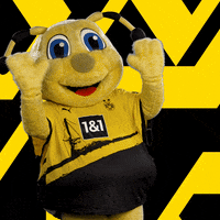 Soccer Futbol GIF by Borussia Dortmund