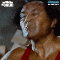 Lets Go Fighting GIF by Arrow Video