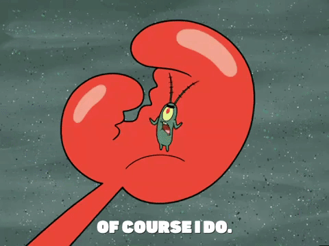 season 4 GIF by SpongeBob SquarePants