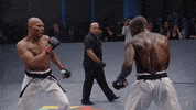 blackbelt gtfo GIF by Karate Combat