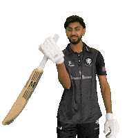 England Cricket Ball Sticker by Somerset County Cricket Club