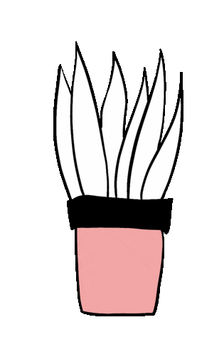 Cat Sticker