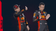 Ver Red Bull GIF by Red Bull Racing