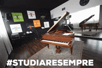 hoopmusic  GIF