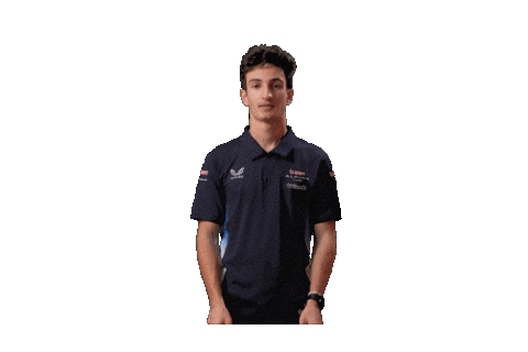 Formula 2 F2 Sticker by Prema Team