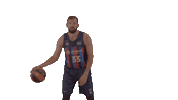 Liga Endesa Spinning Sticker by ACB