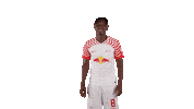 Oh Yeah Yes Sticker by RB Leipzig