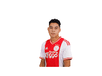 Football Celebrating Sticker by eDivisie