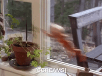 action league now nicksplat GIF