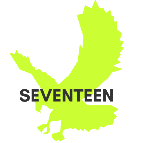 logo neon Sticker by Seventeenthebrand
