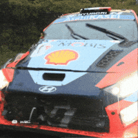Car Crash Wtf GIF by FIA World Rally Championship