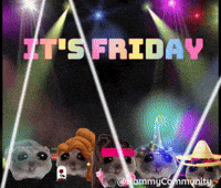 Excited Its Friday GIF by Sad Hamster