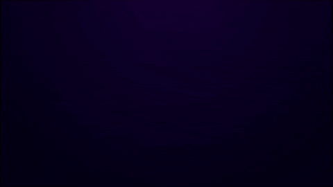 kleinmedia giphyupload amsterdam webdesign digitalagency GIF