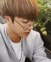 jin GIF