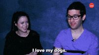 I Love My Dogs