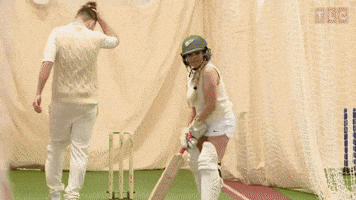 Hey Batter Batter Swing!