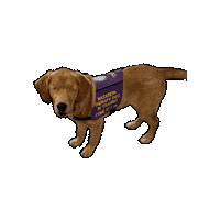 Tilly Sticker by Nazareth College