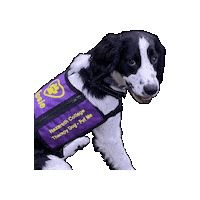 Rosie Sticker by Nazareth College