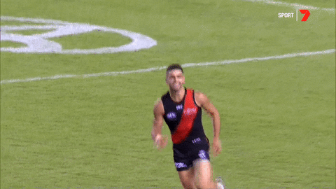 sport fans GIF by Essendon FC