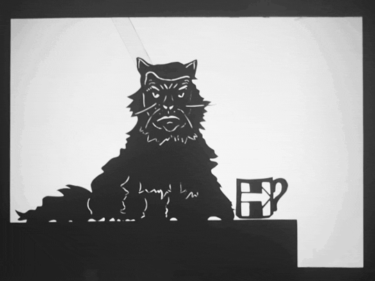 falenabalena giphyupload cats black and white trump GIF