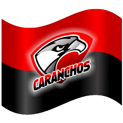 caranchosrugby sports rugby uruguay deporte Sticker