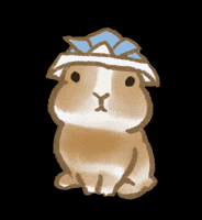うさぎ GIF