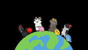 うさぎ 旅 GIF
