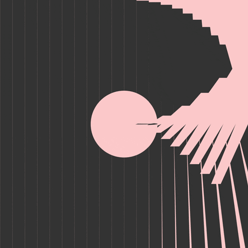GIF by Borrachas