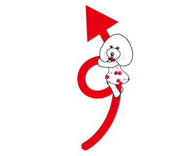 Poodle Sticker