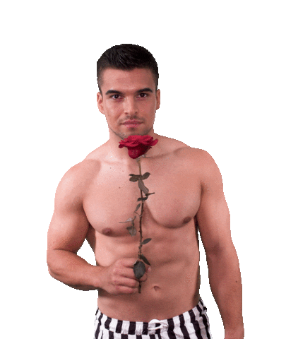 The Bachelorette Dating Sticker by RTLde