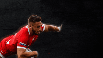 2019 Playoffs See Thee Rise GIF by Toronto Wolfpack