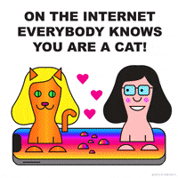 Cats Love GIF by PEEKASSO
