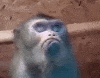 time years GIF